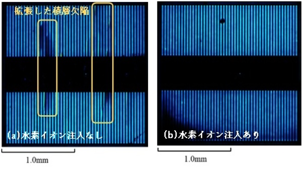 図３　長時間の通電劣化試験の後のダイオードの電極窓から観察されたEL像、(a)水素イオン注入のないダイオード、(b)水素イオン注入のあるダイオード
