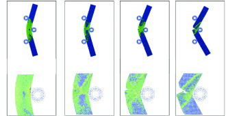 Renormalization Group Theory for Molecular Dynamics