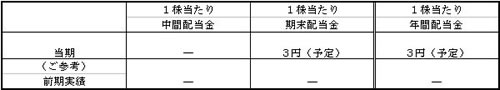 平成１７年３月期（平成１６年４月１日～平成１７年３月３１日）配当（案）