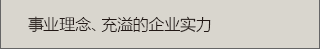 事业理念、充溢的企业实力公司