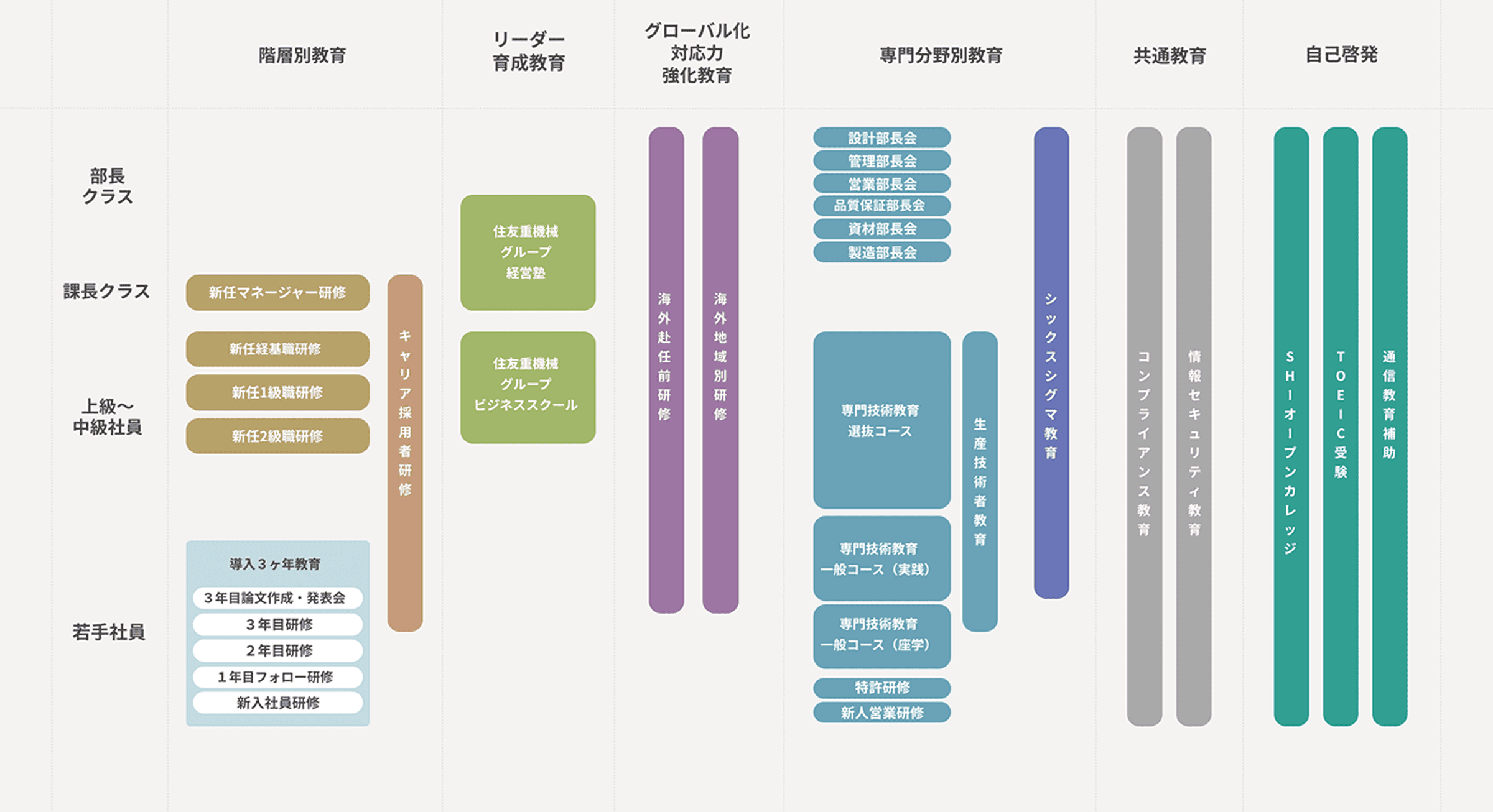 教育制度の詳細図